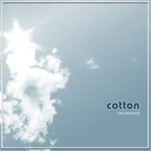 "Cotton" by Ravi Persaud